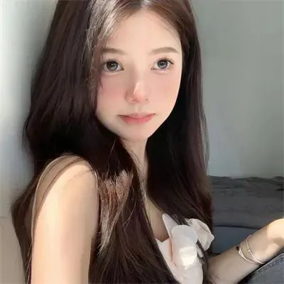 小鼠朋友